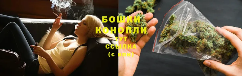 Каннабис сатива  Шумерля 